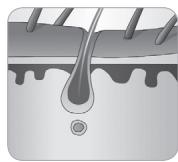 BABYLISS G934E - Hoe kanlichteenhaartjeverwijdersen? - 5