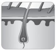 BABYLISS G934E - Hoe kanlichteenhaartjeverwijdersen? - 4
