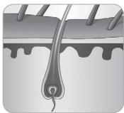 BABYLISS G934E - How does the light eliminate hair? - 6