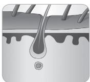 BABYLISS G934E - In che modo la luce riesce a eliminare il peso? - 5