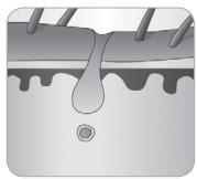 BABYLISS G934E - Hoe kanlichteenhaartjeverwijdersen? - 6