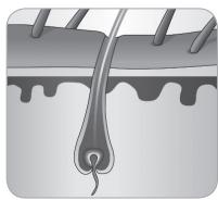 BABYLISS G937E COMPACT GOLDEN EDITION - Ciclo de crescimento do peso - 5