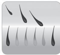 BABYLISS G937E COMPACT GOLDEN EDITION - Ciclo di crescita del belo - 4