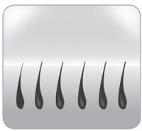 BABYLISS G937E COMPACT GOLDEN EDITION - Der Wachstumszyklus des Haars - 2