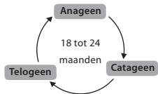 BABYLISS G937E COMPACT GOLDEN EDITION - Haargroeicyclus - 1