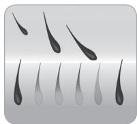 BABYLISS G937E COMPACT GOLDEN EDITION - Der Wachstumszyklus des Haars - 4