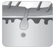 BABYLISS G937E COMPACT GOLDEN EDITION - Ciclo de crescimento do peso - 7