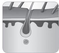 BABYLISS G937E COMPACT GOLDEN EDITION - Ciclo de crescimento do peso - 6