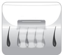 BABYLISS G937E COMPACT GOLDEN EDITION - Der Wachstumszyklus des Haars - 3