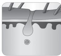 BABYLISS G937E COMPACT GOLDEN EDITION - Ciclo de crescimiento delazo - 7