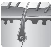 BABYLISS G937E COMPACT GOLDEN EDITION - Haargroeicyclus - 5