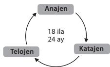 BABYLISS G937E COMPACT GOLDEN EDITION - Tüyerin böyük döngüsse - 1