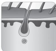 BABYLISS G937E COMPACT GOLDEN EDITION - Tüyerin böyük döngüsse - 6