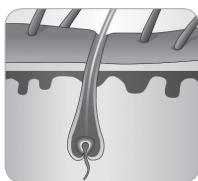 BABYLISS G937E COMPACT GOLDEN EDITION - Tüyerin böyük döngüsse - 5