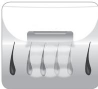 BABYLISS G947E HOMELIGHT GOLDEN EDITION - Cycle de croissance du poil - 3