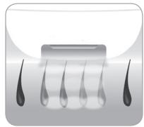 BABYLISS G947E HOMELIGHT GOLDEN EDITION - Ciclo de crescimiento delleo - 3