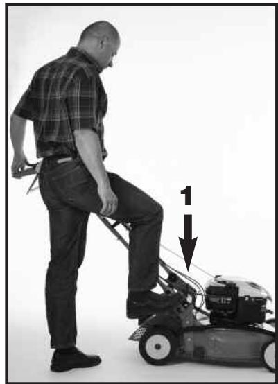 WOLF RM46BF - Tondeuses avec moteur frein - 2