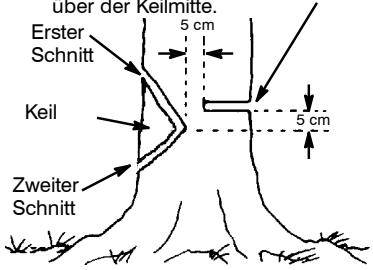 MCCULLOCH CS330 - UNTERSCHNITT UND FALLEN DES BAUMS - 1