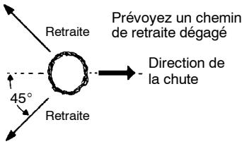 MCCULLOCH CS330 - AVERTISSEMENT: - 1
