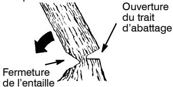 MCCULLOCH CS330 - TRAIT D'ABATTAGE ET ABATTA-GE DE L'ARBRE - 2