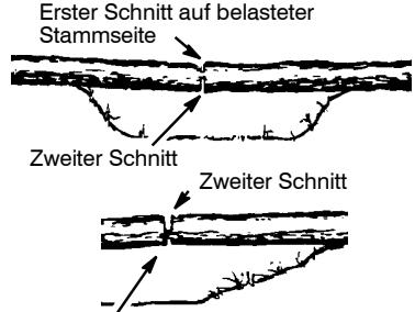 MCCULLOCH CS330 - VERSCHIEDENE SCHNITTE ZUR STAMMZERTEILUNG - 3