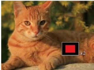 KODAK WP1 - Utilisation du zoom sur les images déjà prises (images fixes seulement) - 1