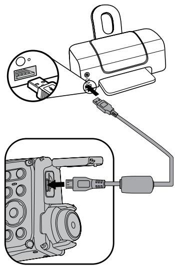 KODAK WP1 - Connectez votre imprimante - 1