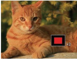 KODAK X53 - Utilisation du zoom sur les images déjà prises (images fixes seulement) - 2