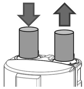 ATLANTIC CALYPSO - Deux Gaines - 1