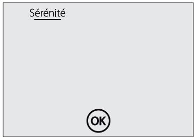 ATLANTIC VIZENGO - Sénérité - 2