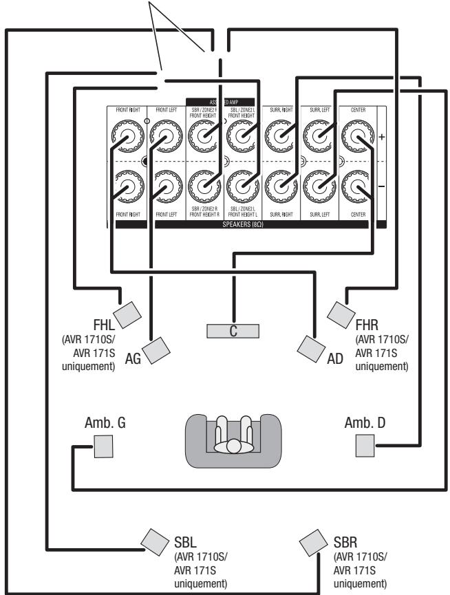 HARMAN KARDON AVR 171S - Raccordement de vos enceintes - 1