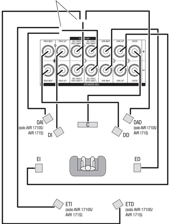 HARMAN KARDON AVR 171S - Conexión de los altavoces - 1