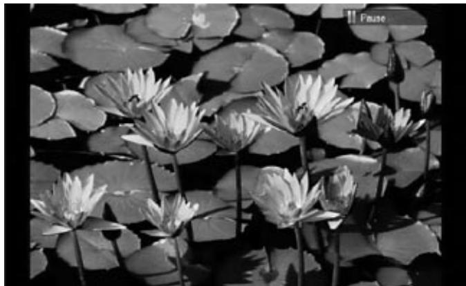 HARMAN KARDON HS 210 - Visionner des images - 3