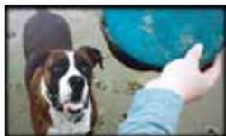 NINTENDO 3DS - Diaporama - 1