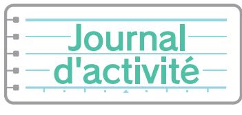 NINTENDO 3DS - Jeu éclair - 2