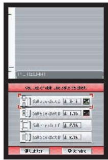 NINTENDO DS LITE - PicoChatTM - 2