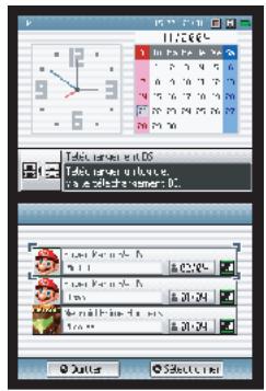 NINTENDO DS LITE - Jeu DS téléchargeable à une seule carte - 1