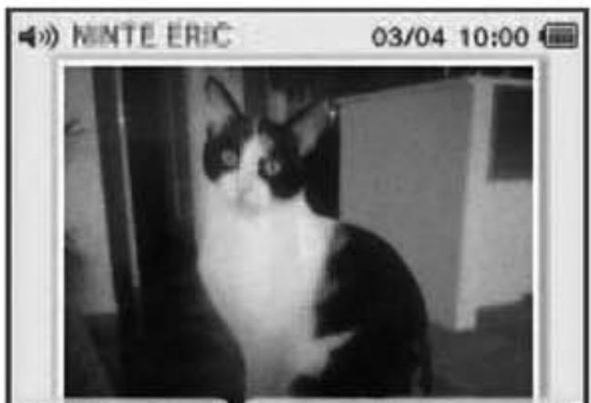 NINTENDO DSI - Autres - 5