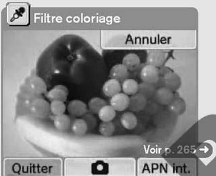 NINTENDO DSI - Choisir un filtré - 2