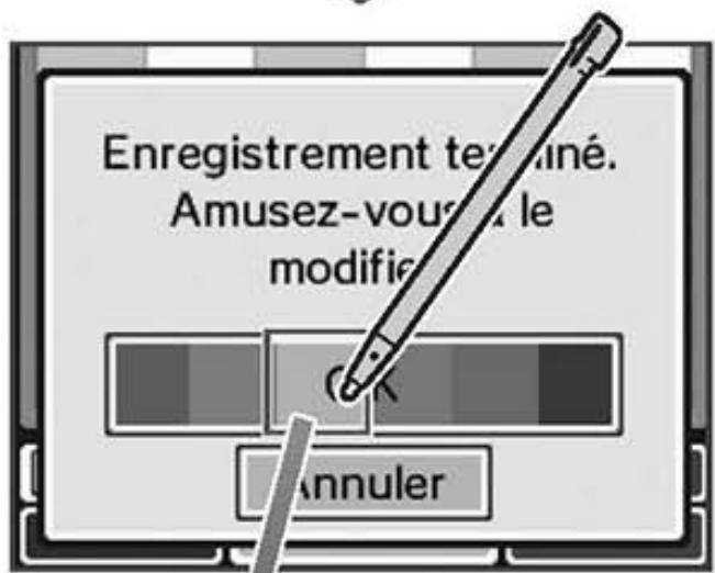 NINTENDO DSI - Enregisterr - 6