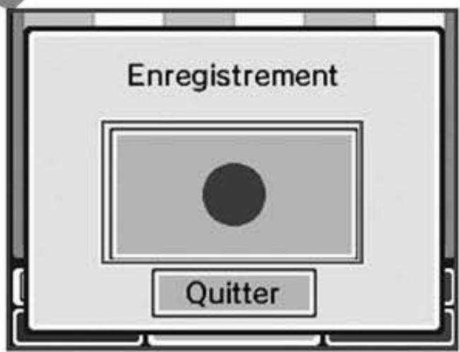 NINTENDO DSI - Enregisterr - 5