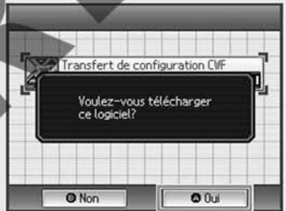 NINTENDO DSI - Sur la console cible - 3