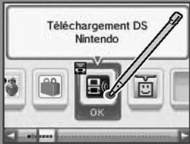 NINTENDO DSI - Logiciels Nintendo DSi et Nintendo Points Cards - 1