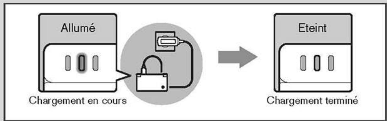 NINTENDO DSI - Console Nintendo DSi (TWL-001 (EUR)) - 3