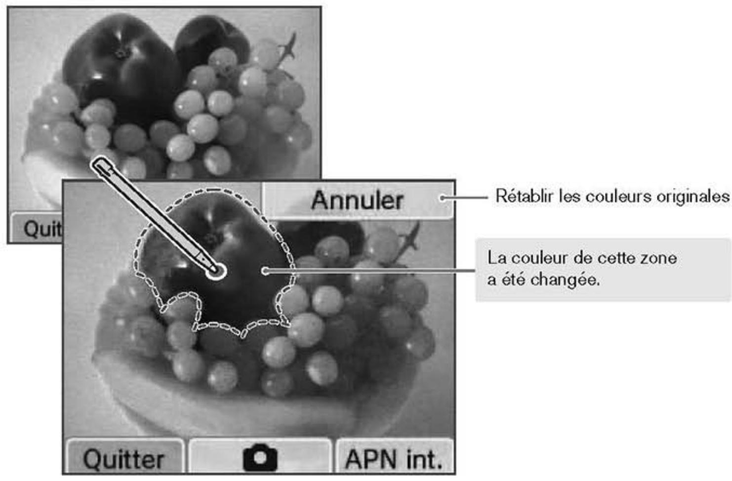 NINTENDO DSI - Filtre cyclochromie - 1