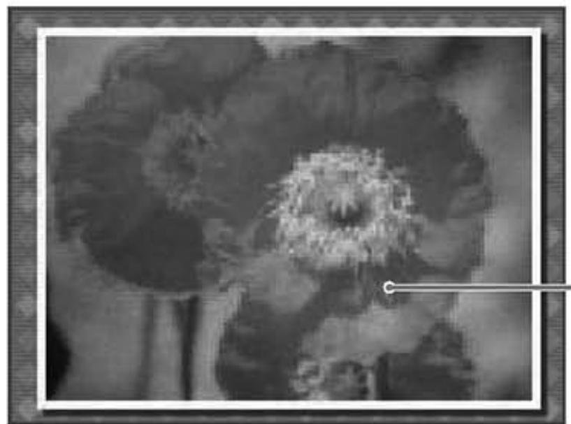 NINTENDO DSI - Calendrier - 1