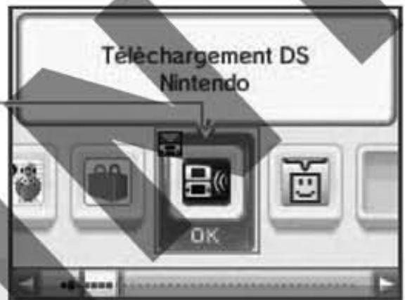 NINTENDO DSI - Sur la console cible - 1