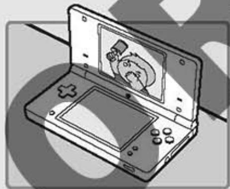 NINTENDO DSI - Affichage des photos sur I'ecran supérieur - 1