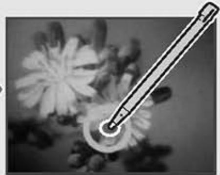 NINTENDO DSI - Utiliser une pipette - 2