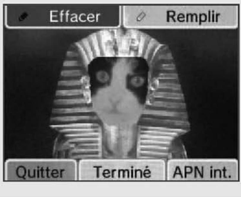 NINTENDO DSI - Créer un cadre - 8